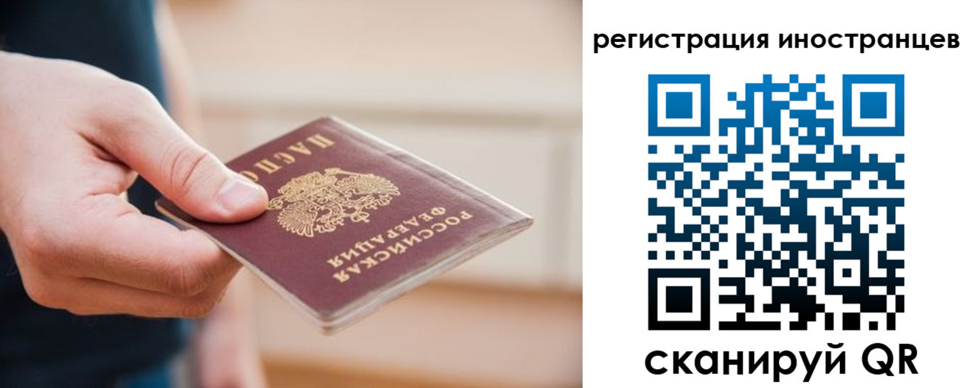 прописка гарантия в Купино